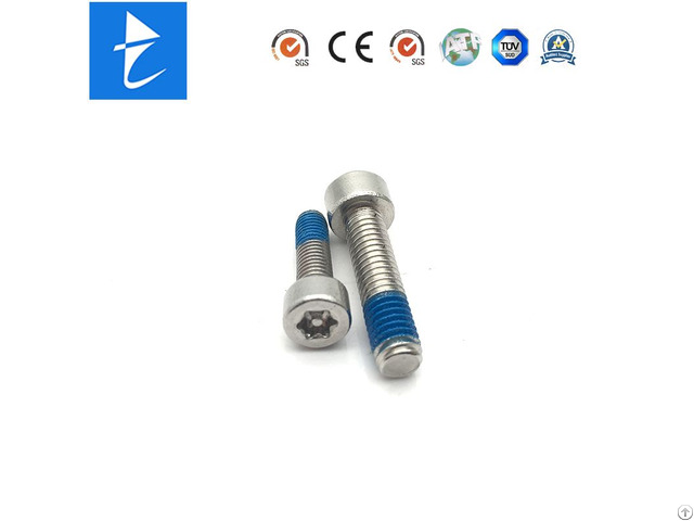 Stainless Steel Cheese Head Inner Torx Nylon Patch Security Screw