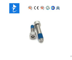 Stainless Steel Cheese Head Inner Torx Nylon Patch Security Screw