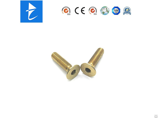 Professional Custom Brass Stainess Steel Metal Hex Socket Screw