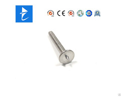 Professional Custom Mechanical Welding Screws