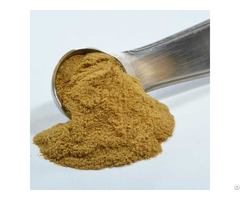 Organic Herbal Powder Extract