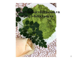 Vietnam 100 Percent Pure Moringa Leaf Powder