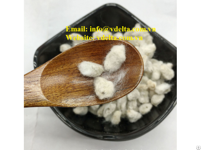 Natural Cotton Seed