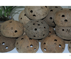 Best Quality Coconut Shell Flower Pot