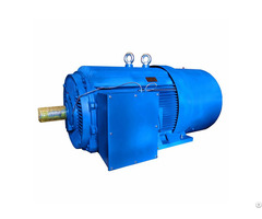 Low Voltage High Power Squirrel Cage Motor