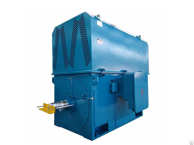 High Voltage Squirrel Cage Induction Motor