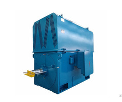 High Voltage Squirrel Cage Induction Motor