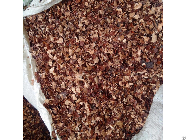 Cheap Cashew Husk With Bulk Quantity