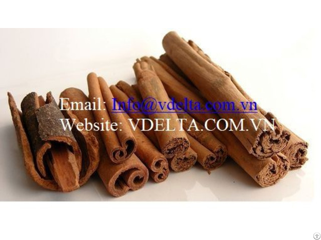 Cinnamom From Vietnam