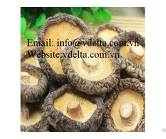 High Quality Dried Mushroom Vdelta