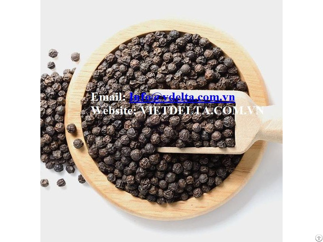 Black Pepper From Vietnam