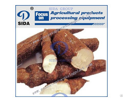 Why We Choose Starch Production From Cassava
