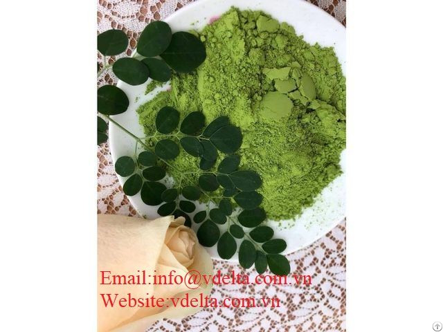 High Quality Moringa Leaf Powder Vdelta