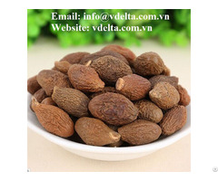 High Quality Malva Nuts From Viet Nam