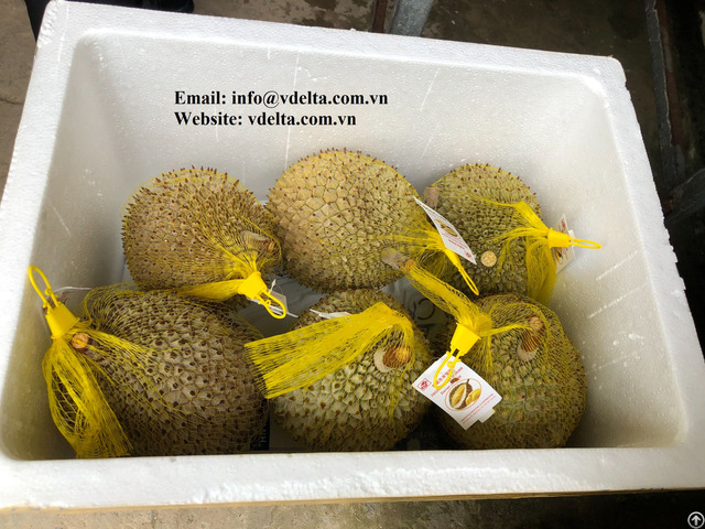 High Quality Frozen Durian