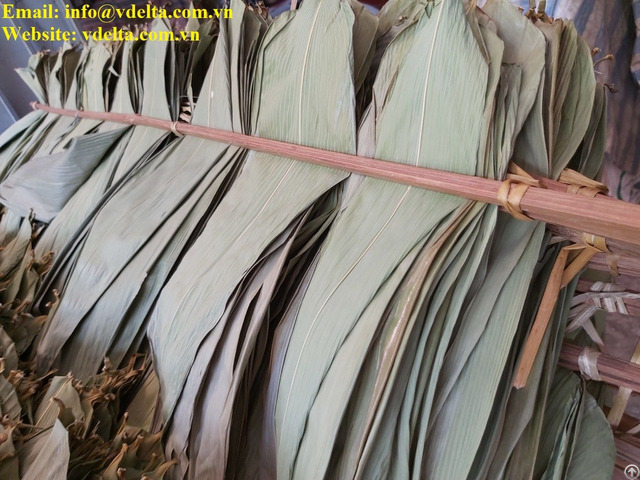 New Product Dried Bamboo Leaves