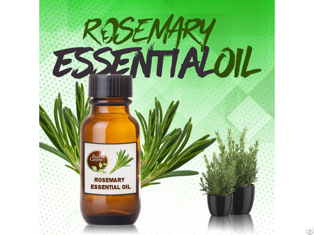 Rosemary Essential Oils