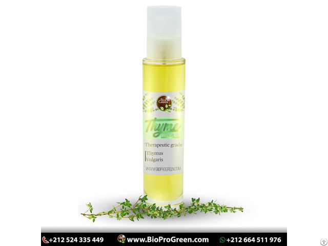 Thyme Essential Oil Natural Pure