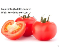 High Quality Fresh Tomato Vdelta