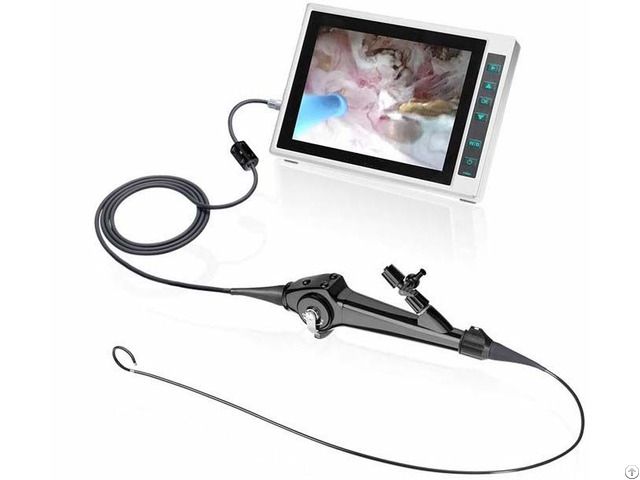 Flexible Video Ureteroscope