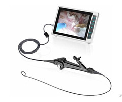 Flexible Video Ureteroscope