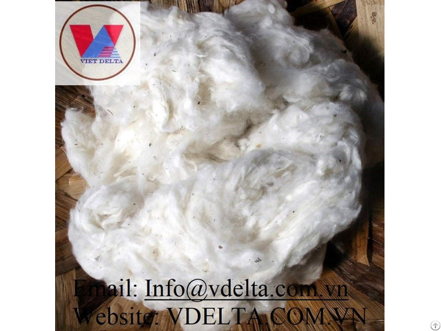 Raw Cotton Wool From Viet Nam