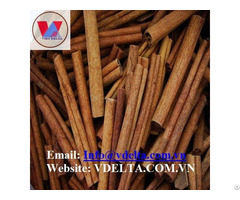 High Quality Cassia Cinnamon Stick