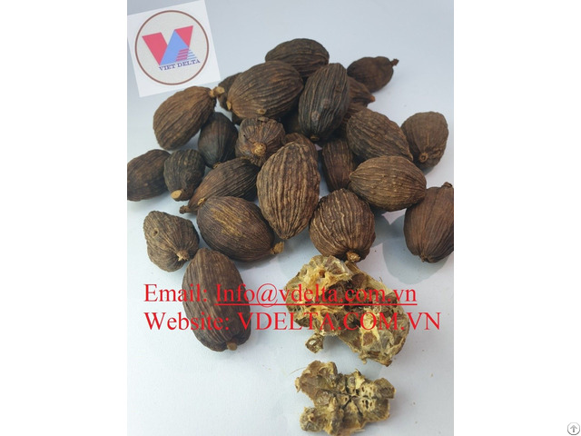 Black Cardamom From Vietnam