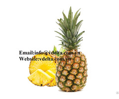 High Quality Fresh Pineapple Vdelta