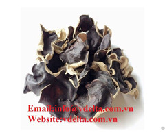 High Quality Dried Fungus Vdelta