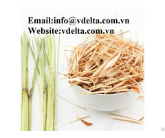 High Quality Dried Lemongrass Vdelta