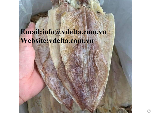 High Quality Dried Squid Vdelta