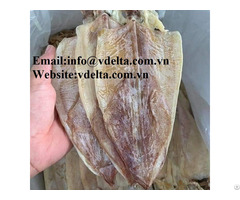 High Quality Dried Squid Vdelta