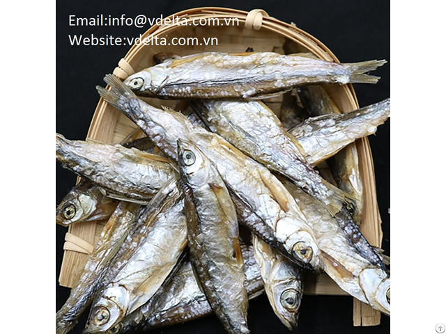 High Quality Packedherring Dried Fishes Vdelta