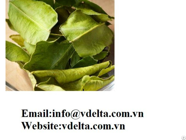 High Qualit Dried Lime Leaves Vdelta