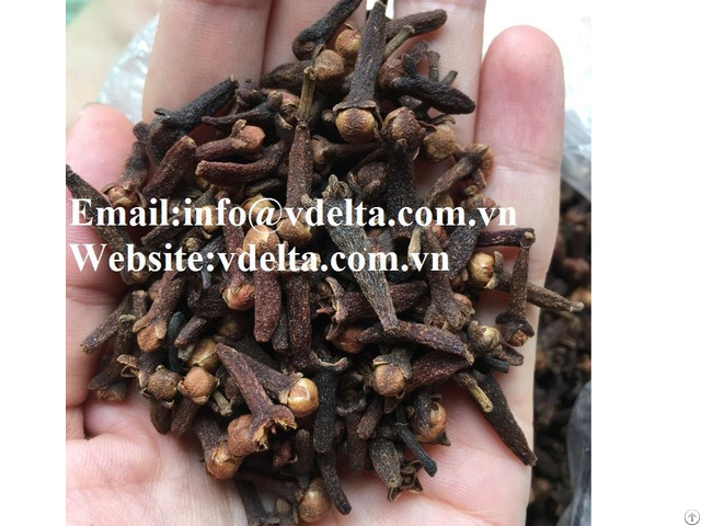 High Quality New Crop Cloves Vdelta