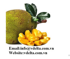 High Quality Jackfruit