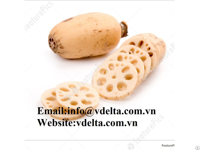 High Quality Lotus Root Vdelta