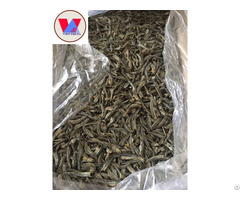 Quality High Nutritive Dry Anchovy Fish