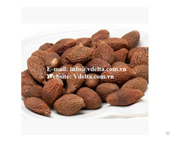 Delicious And Nutritious Malva Nuts