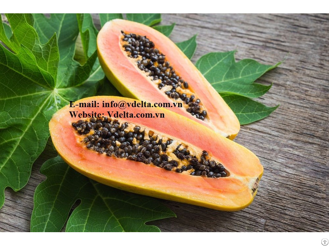 Healthy Food Papaya Seeds From Vietnam