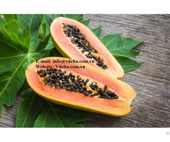Healthy Food Papaya Seeds From Vietnam