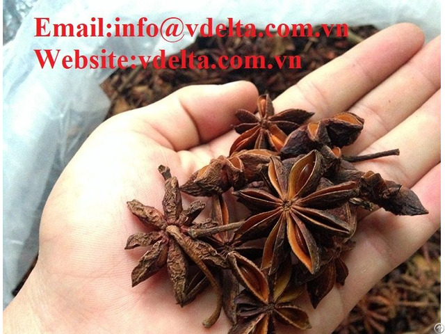 Natural Dried Star Anise With High Quality From Vietnam