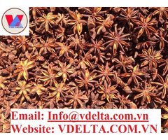 Dried Star Anise Premium Spice From Vietnam