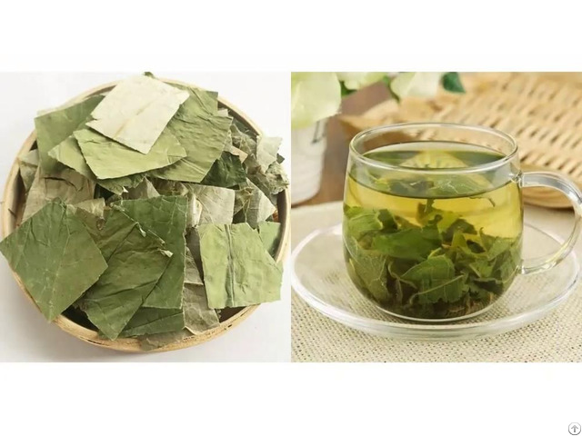 Dried Lotus Leaves From Viet Nam