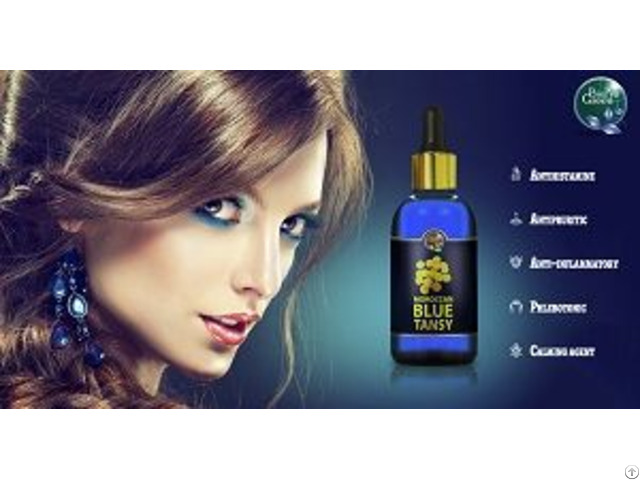 Moroccan Blue Tansy Essential Oil Company