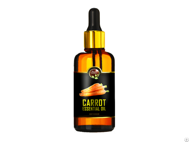 Carrot Essential Oil