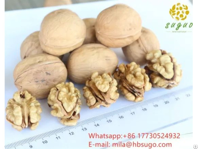 New Crop Walnut Kernels