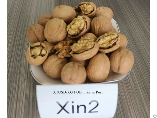 Xin2 Walnut Inshell