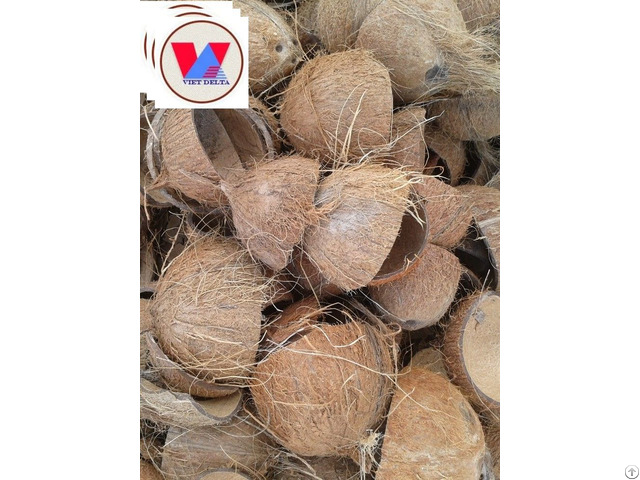 Coconut Shell Raw From Viet Nam